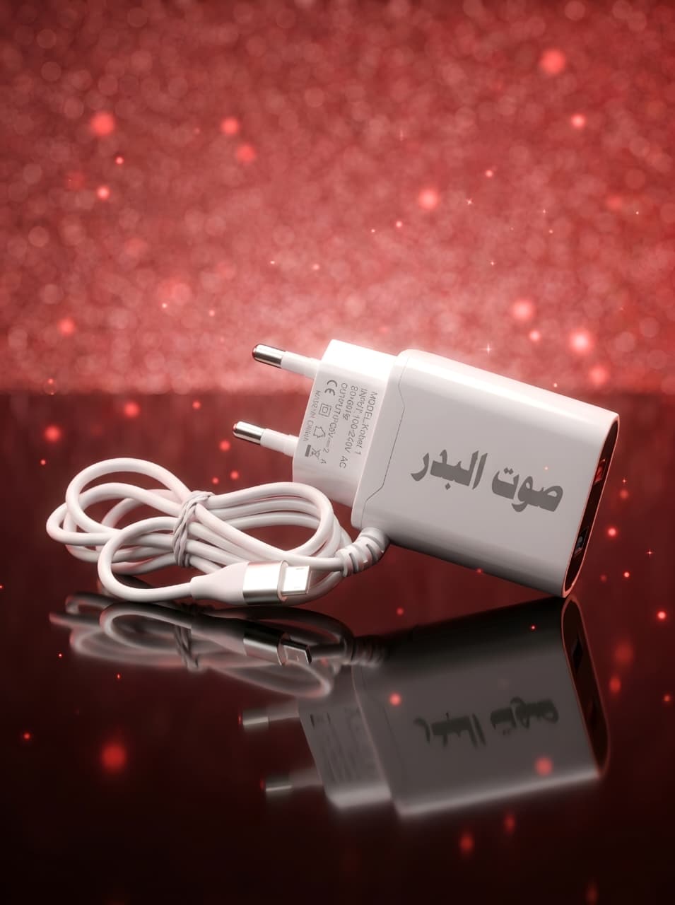 LEKAM PREMIUM+ 2.4A Dual USB Fast Charger with Cable